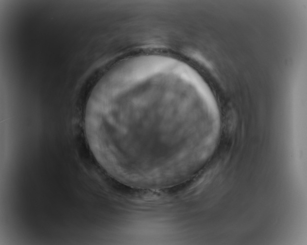 X0000089731255200707121443