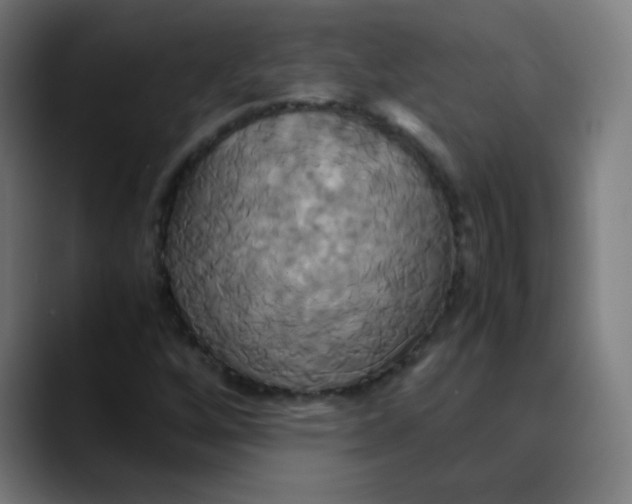 X0000089731256200707121443
