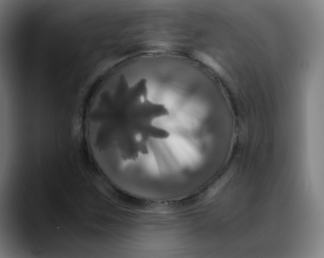 X0000089731259200707121443