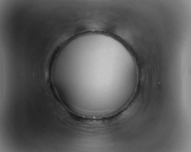 X0000089731261200707121443