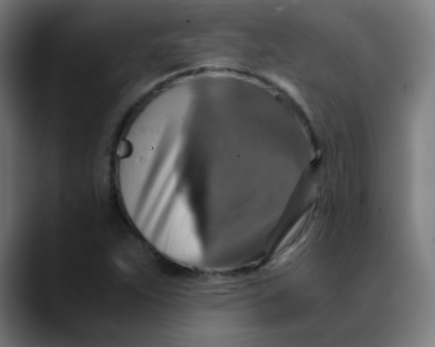X0000089731263200707121443