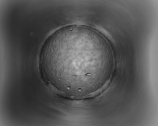 X0000089731264200707121443