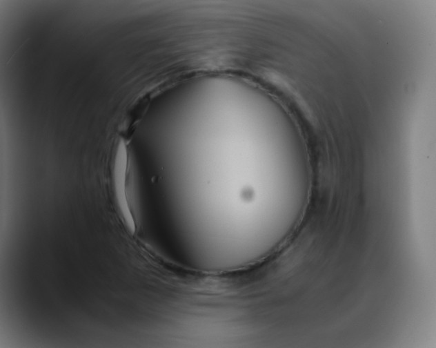 X0000089731265200707121443