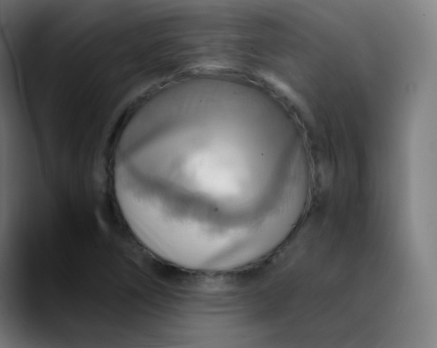 X0000089731266200707121443