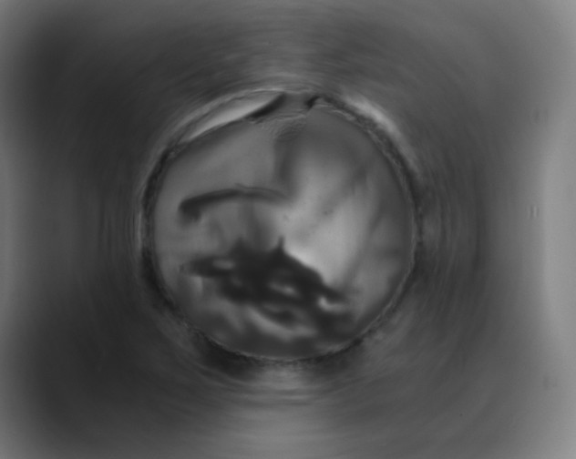 X0000089731267200707121443