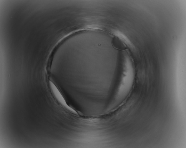 X0000089731268200707121443