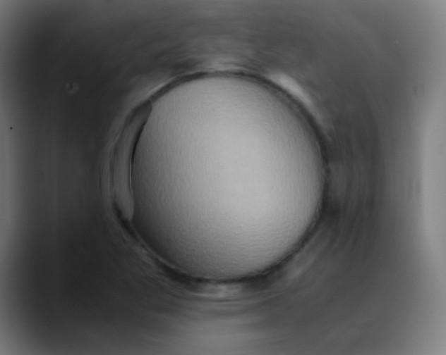 X0000089731269200707121442