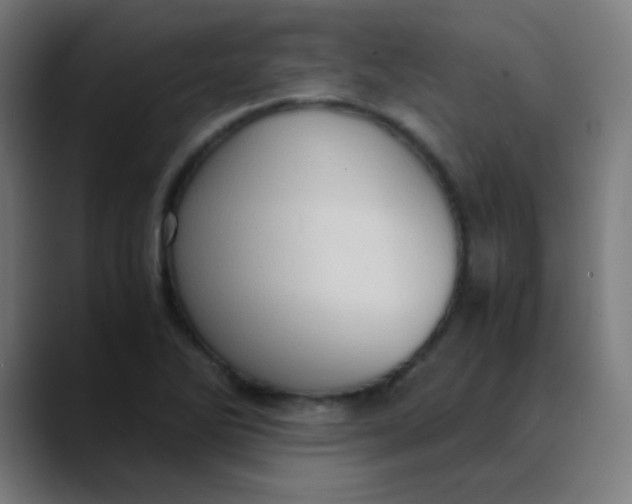 X0000089731270200707121442