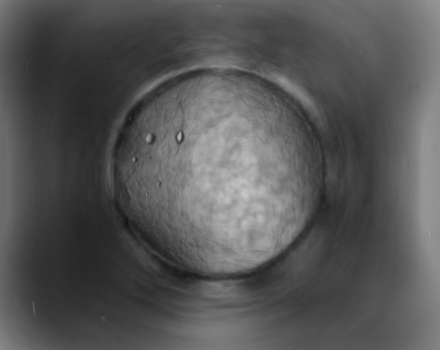X0000089731272200707121442