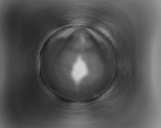X0000089731275200707121442