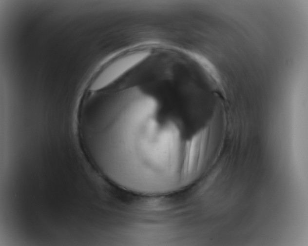 X0000089731279200707121442
