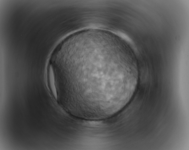 X0000089731280200707121442