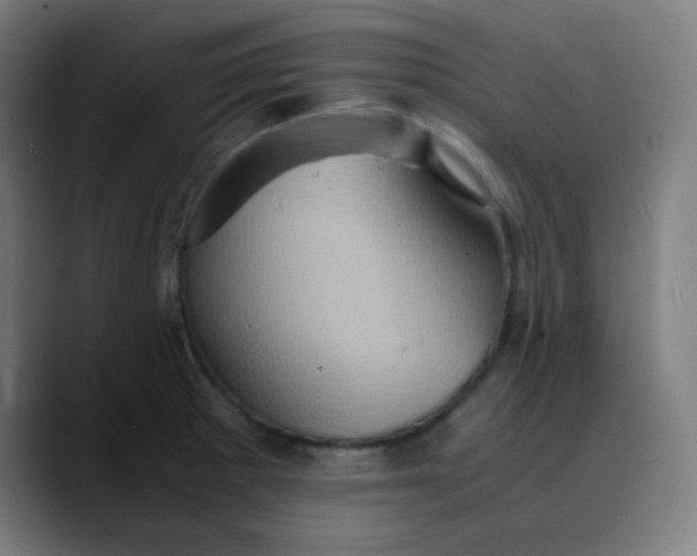 X0000089731281200707121442