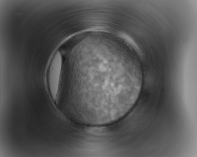X0000089731284200707121442