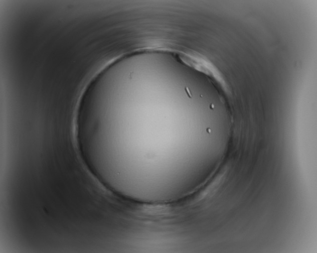 X0000089731285200707121442