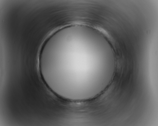X0000089731286200707121442