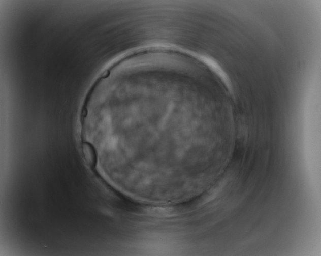 X0000089731287200707121442