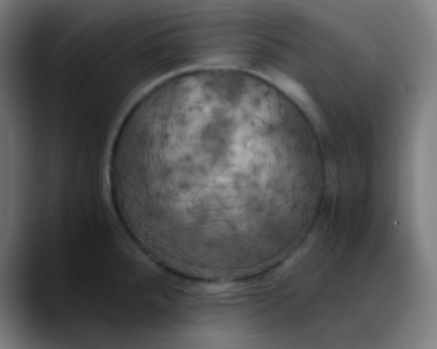 X0000089731288200707121442