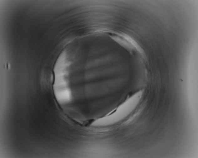 X0000089731289200707121442