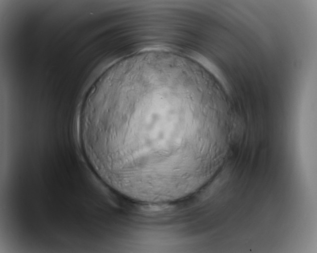 X0000089731290200707121442