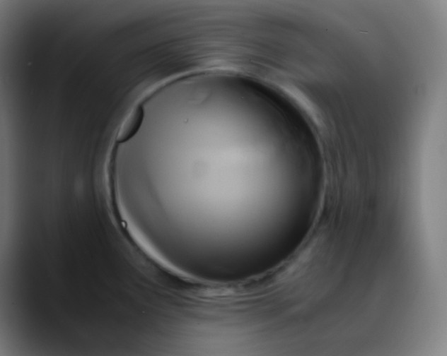 X0000089731291200707121442