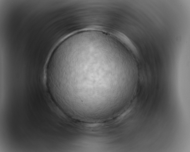 X0000089731292200707121442