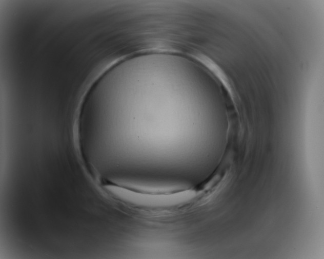 X0000089731293200707121442