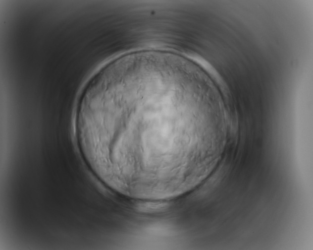 X0000089731294200707121442