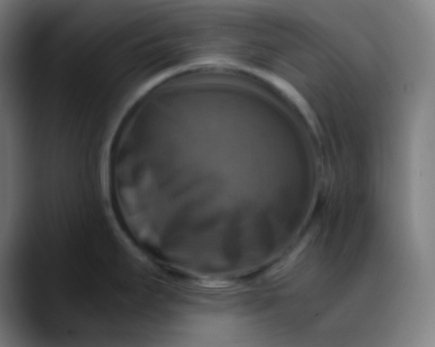 X0000089731295200707121442