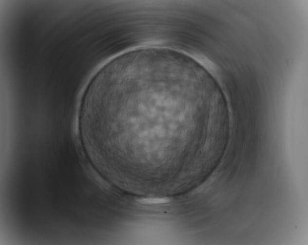 X0000089731296200707121442