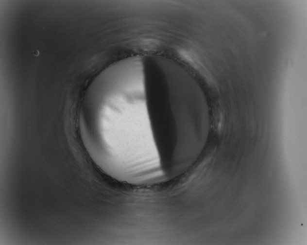 X0000089731297200707121442