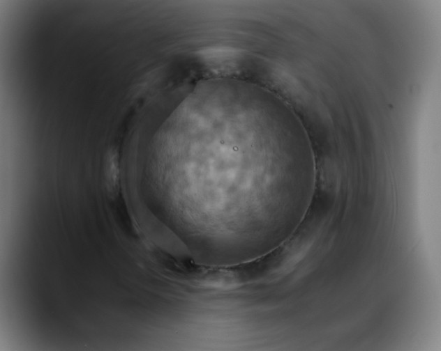 X0000089731298200707121442