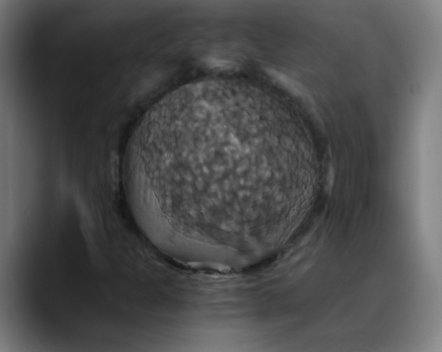 X0000089731301200707121442