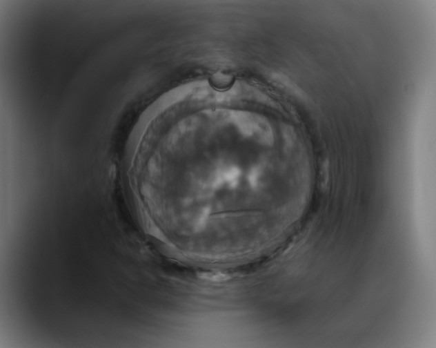 X0000089731302200707121442