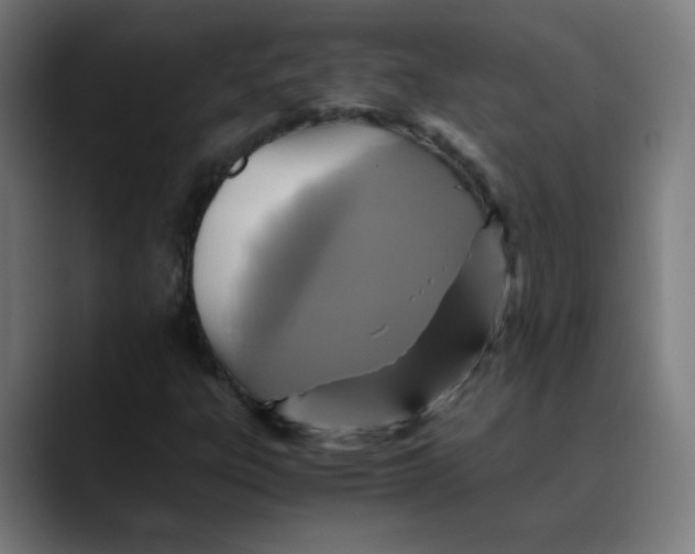 X0000089731303200707121442