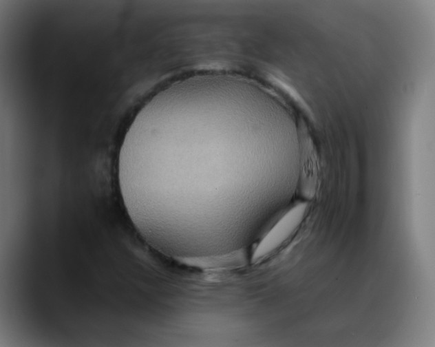 X0000089731304200707121442