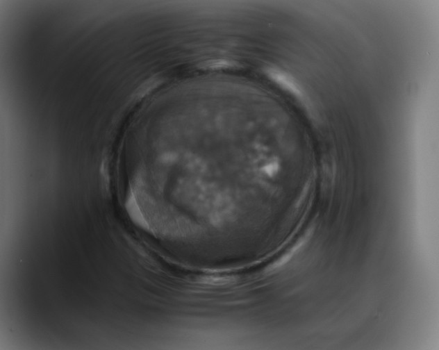 X0000089731305200707121442