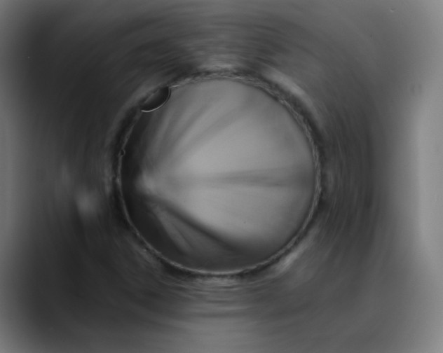 X0000089731306200707121442