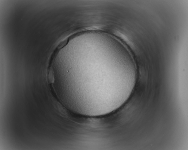 X0000089731308200707121442