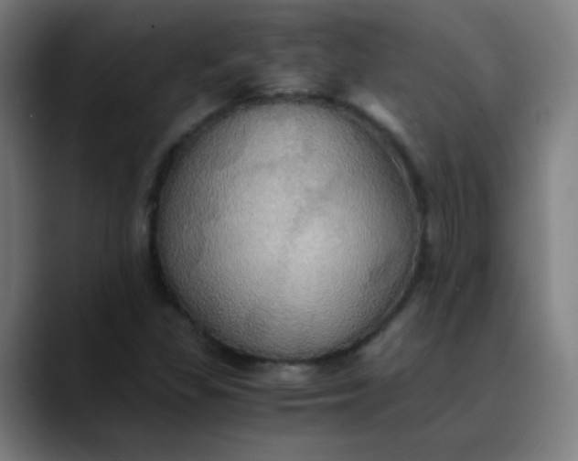 X0000089731309200707121442