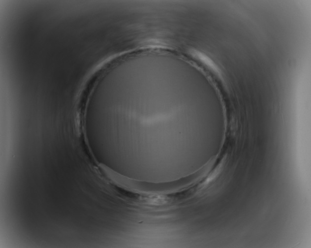 X0000089731310200707121442
