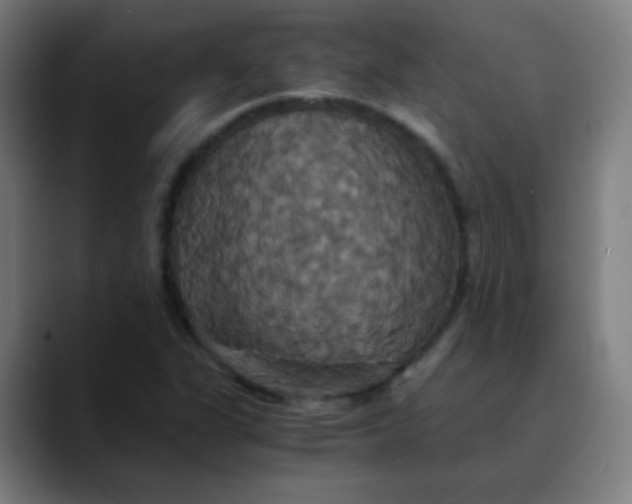 X0000089731311200707121442