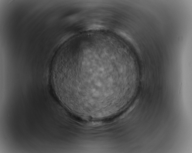 X0000089731313200707121442
