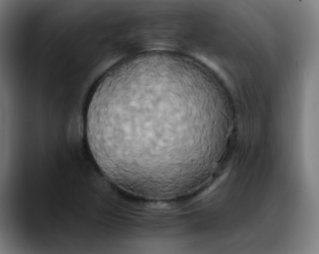 X0000089731317200707121442