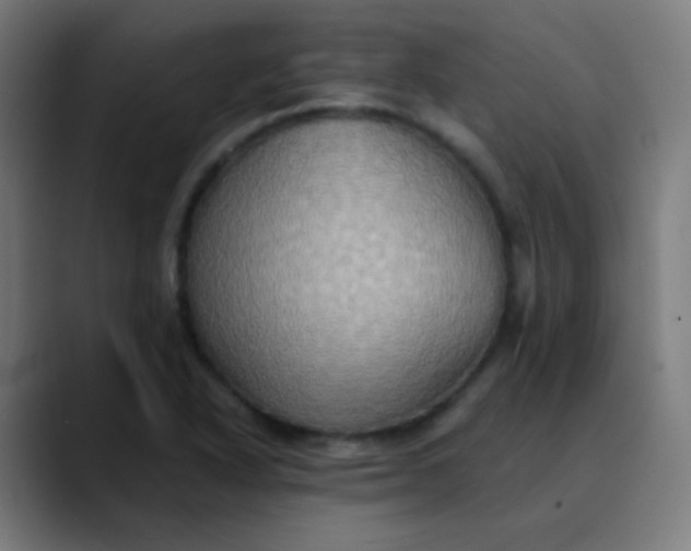 X0000089731318200707121442