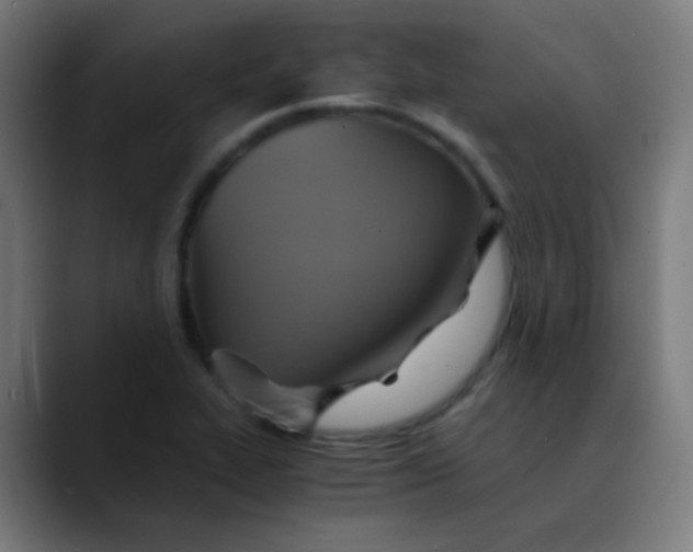 X0000089731319200707121442