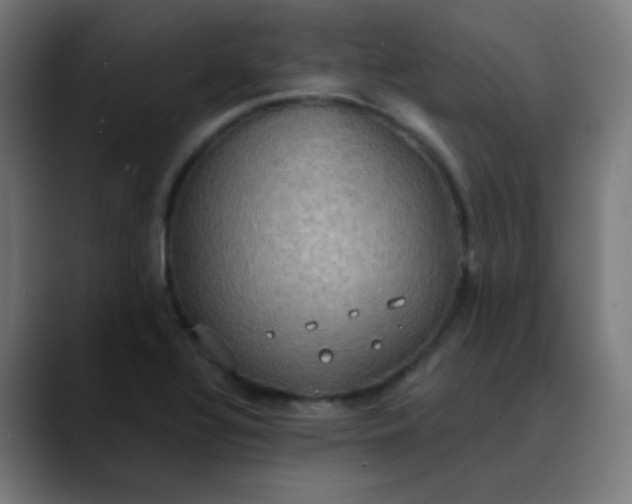 X0000089731320200707121442