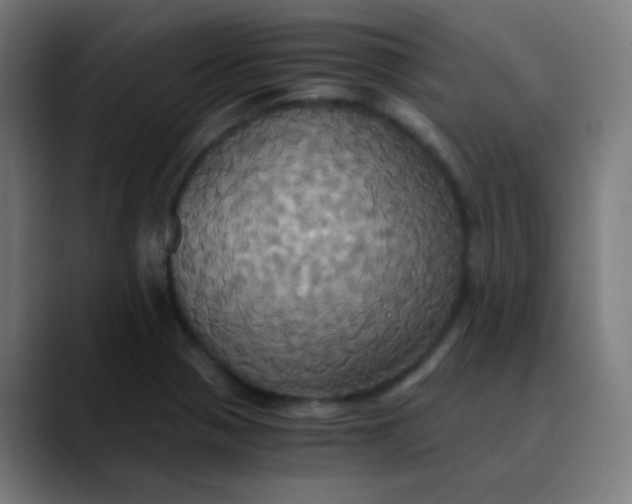 X0000089731321200707121442