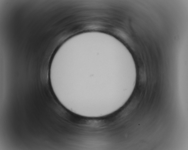 X0000089731322200707121442