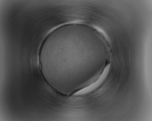 X0000089731324200707121442